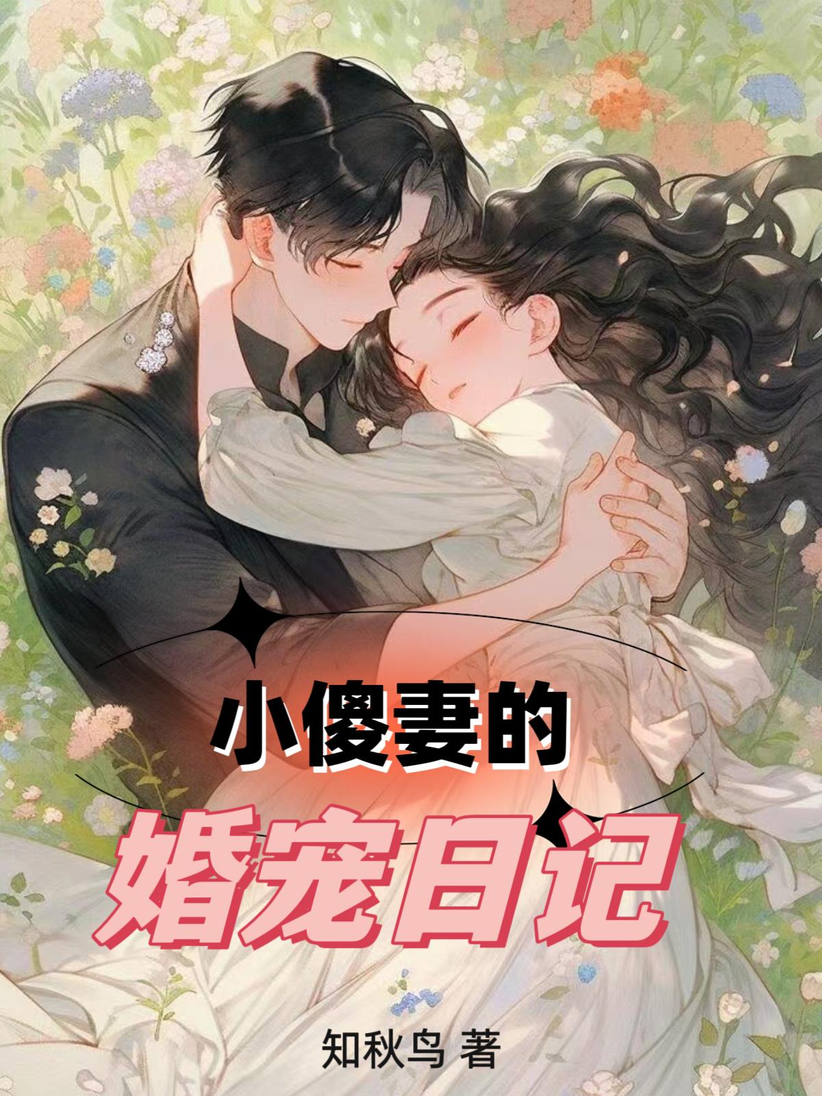 《小傻妻》作者:汝锦