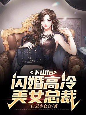 无敌奶爸闪婚高冷女总裁