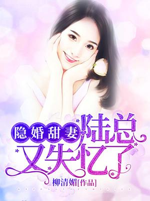 陆总的隐婚新娘