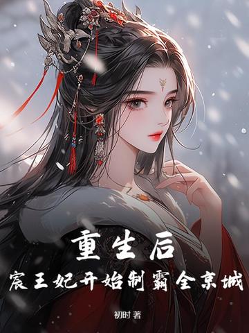 北宸王妃