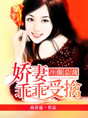 冷傲总裁之宠妻狂魔全文阅读