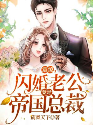 闪婚老公竟是公司总裁