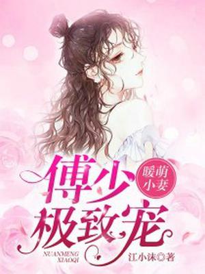 萌傅少宠妻甜蜜蜜