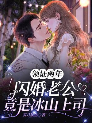 闪婚老公竟是冰山上司 霁月秋鱼